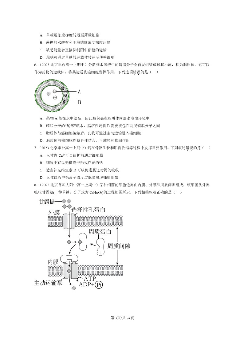 [生物]2023北京重点校高一上学期期中生物真题分类汇编：主动运输与胞吞、胞吐第3页
