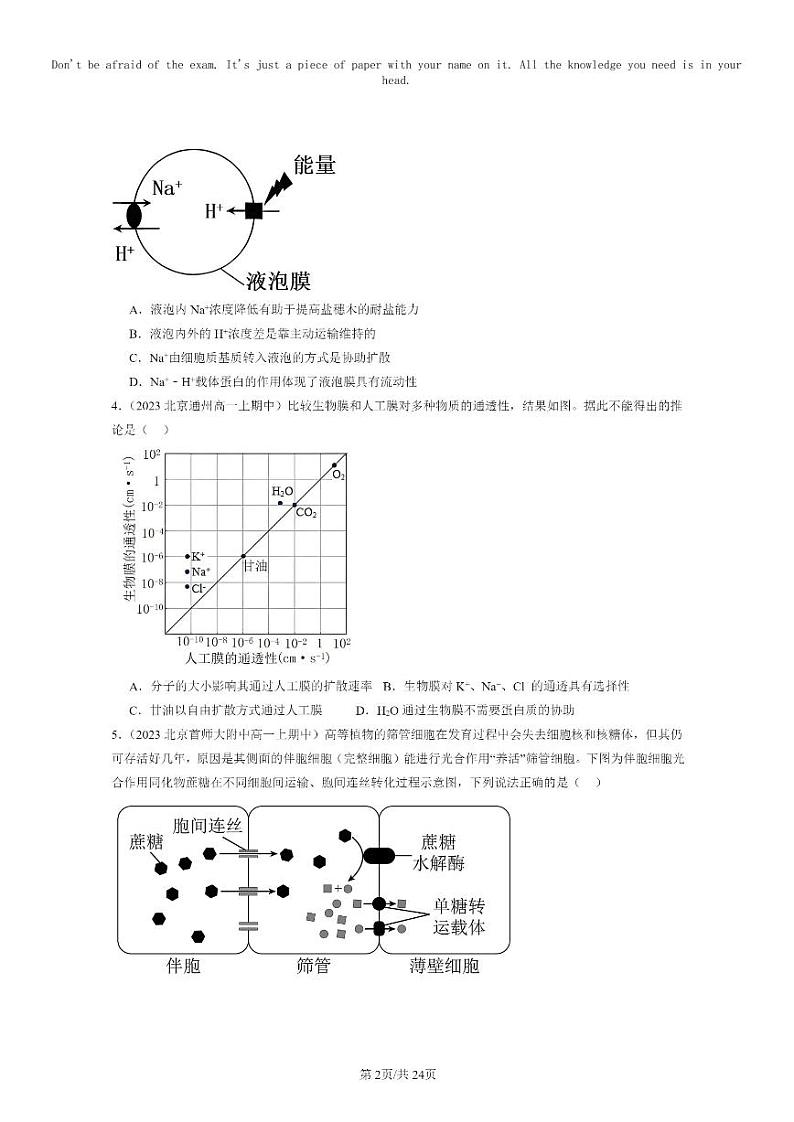 [生物]2023北京重点校高一上学期期中生物真题分类汇编：主动运输与胞吞、胞吐第2页