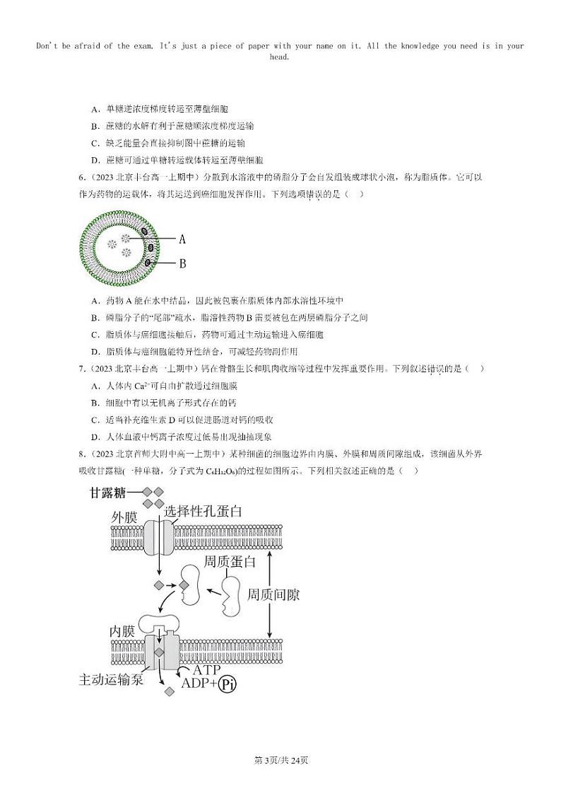 [生物]2023北京重点校高一上学期期中生物真题分类汇编：主动运输与胞吞、胞吐第3页