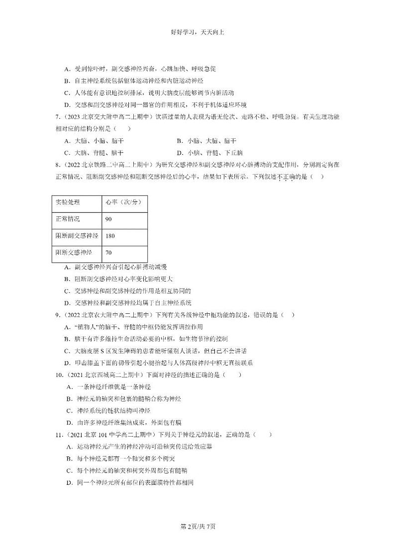 [生物]2021～2023北京重点校高二上学期期中生物真题分类汇编：神经调节的结构基础02