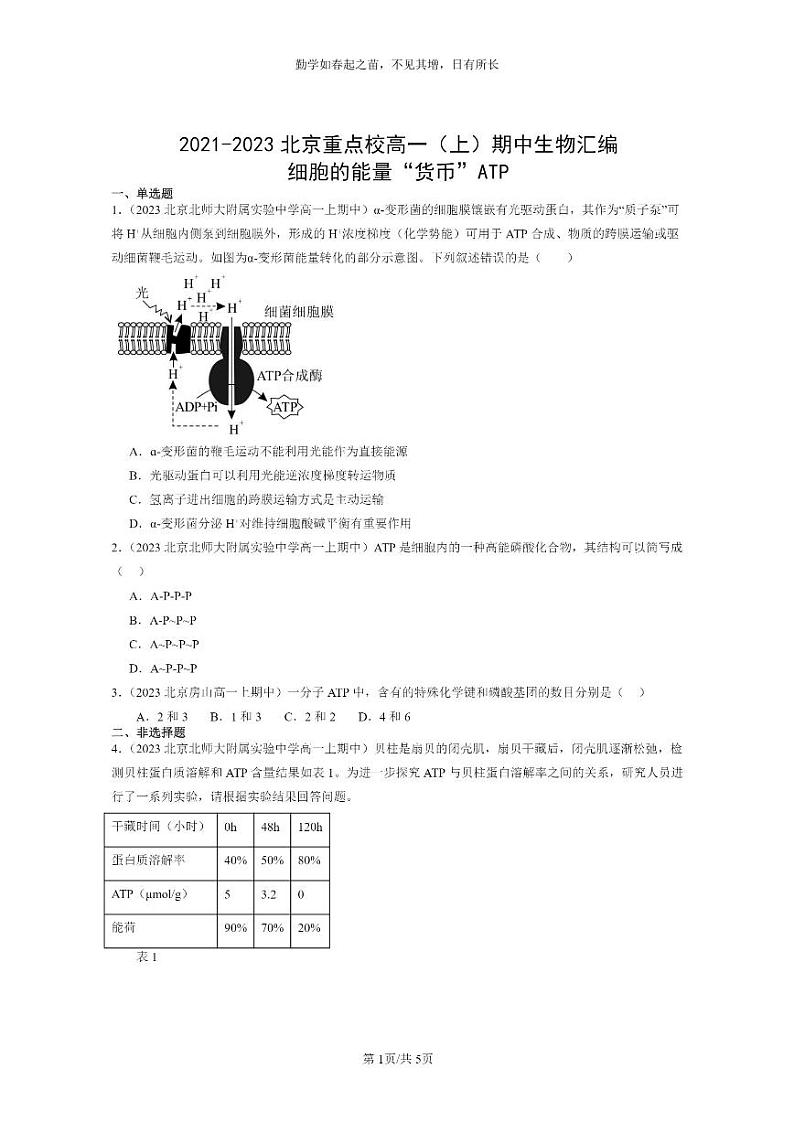 [生物]2021～2023北京重点校高一上学期期中生物真题分类汇编：细胞的能量“货币”ATP第1页