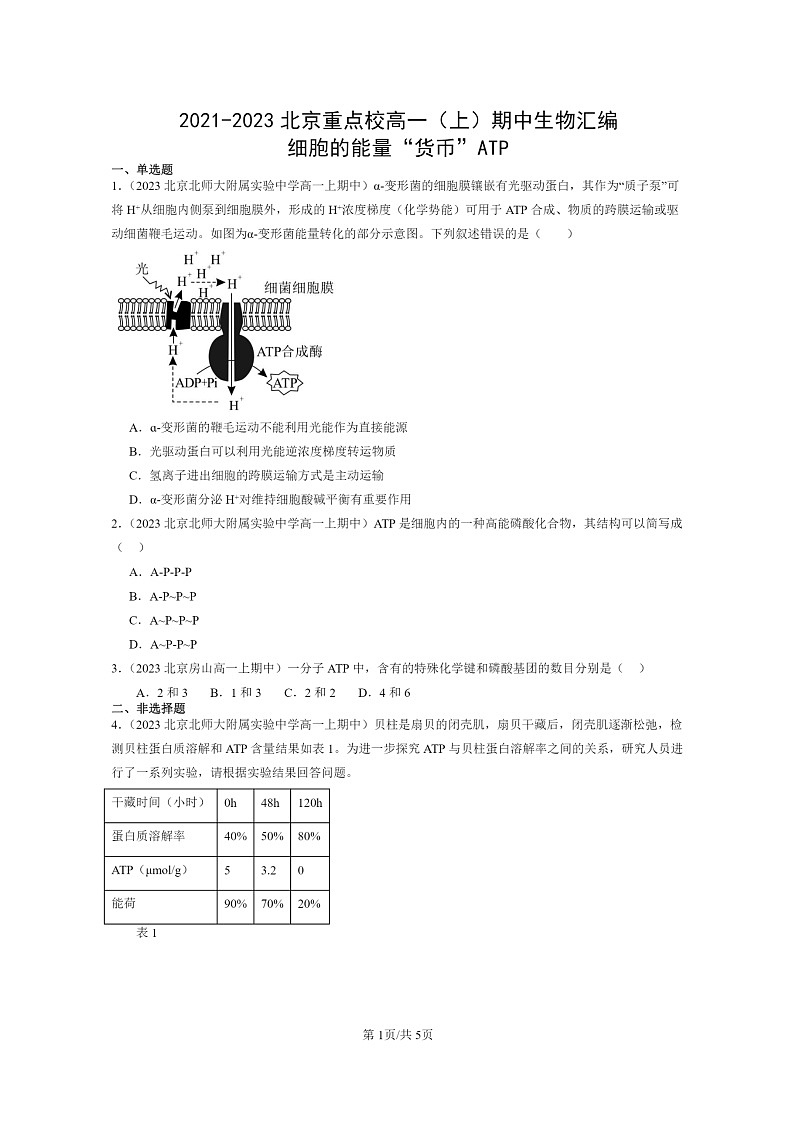[生物]2021～2023北京重点校高一上学期期中生物真题分类汇编：细胞的能量“货币”ATP第1页