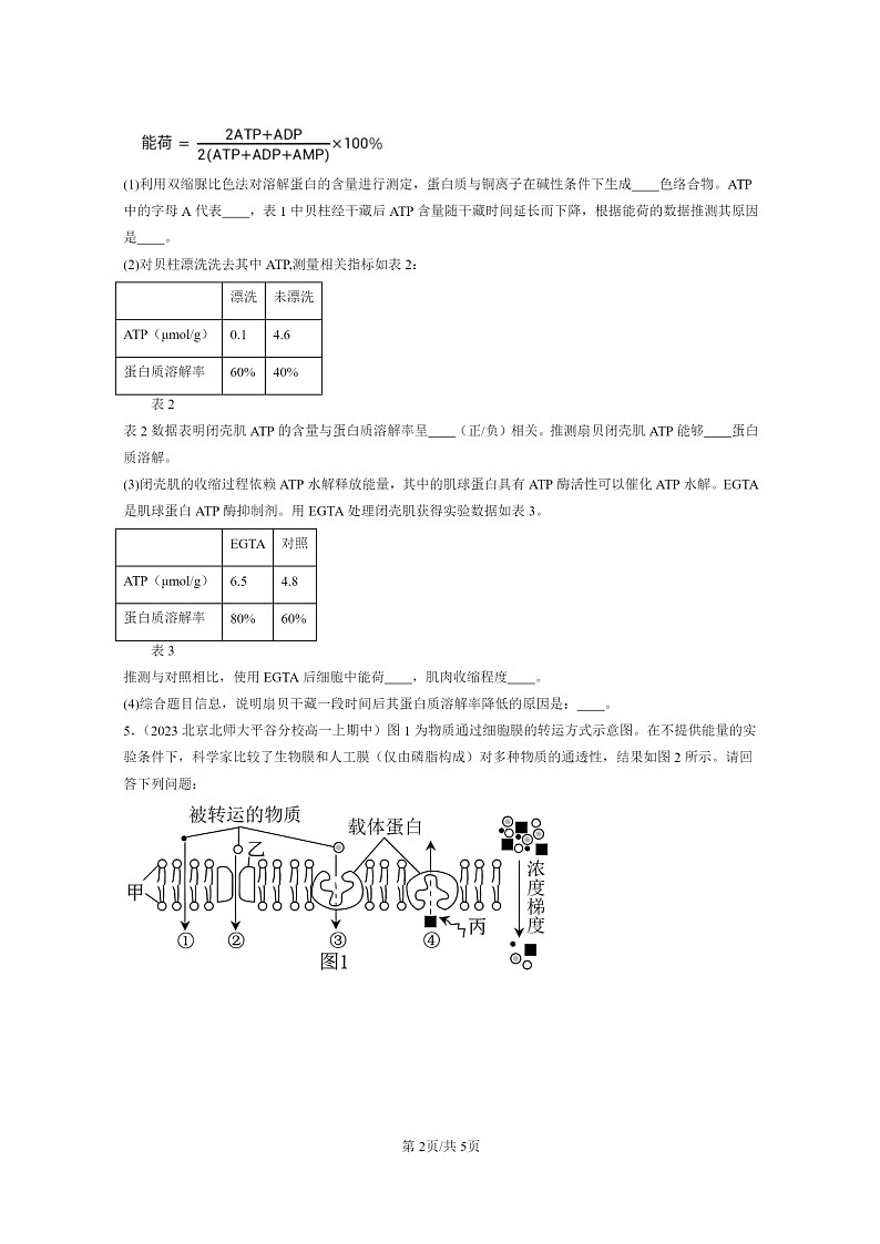 [生物]2021～2023北京重点校高一上学期期中生物真题分类汇编：细胞的能量“货币”ATP第2页