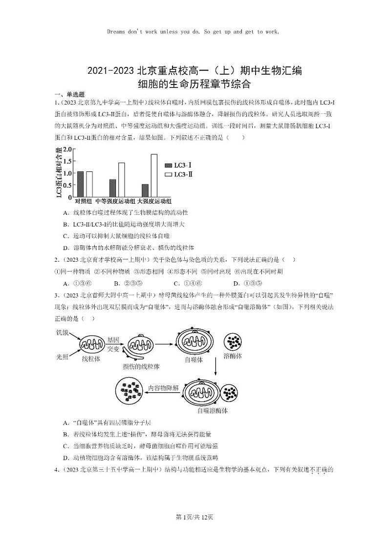 [生物]2021～2023北京重点校高一上学期期中生物真题分类汇编：细胞的生命历程章节综合第1页