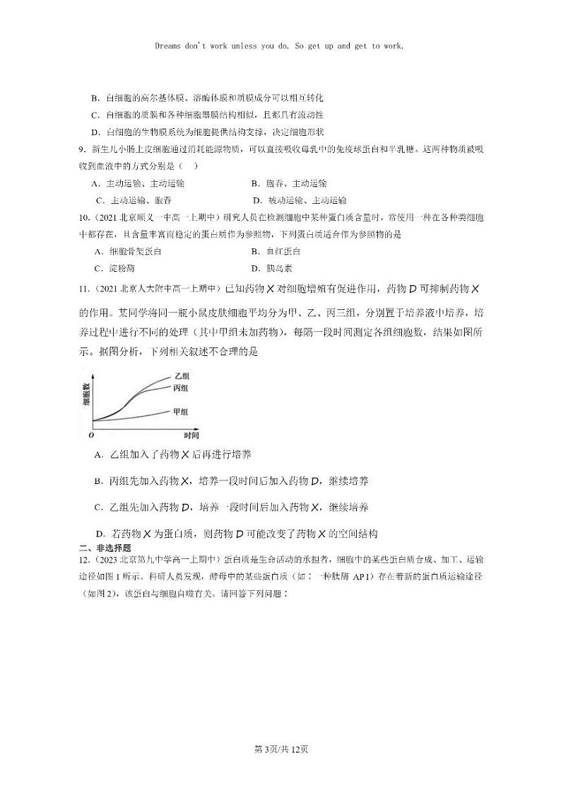 [生物]2021～2023北京重点校高一上学期期中生物真题分类汇编：细胞的生命历程章节综合第3页