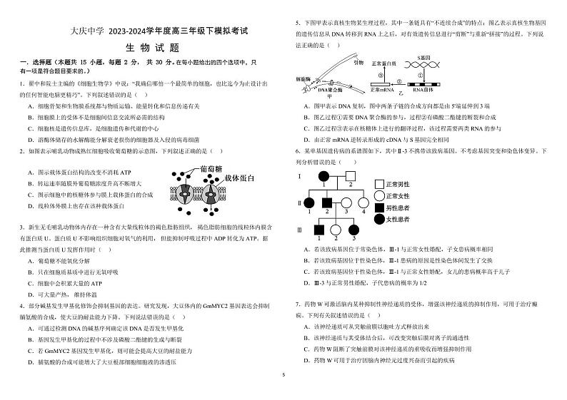2024省大庆中学高三下学期5月模拟考试生物PDF版含答案（可编辑）第1页