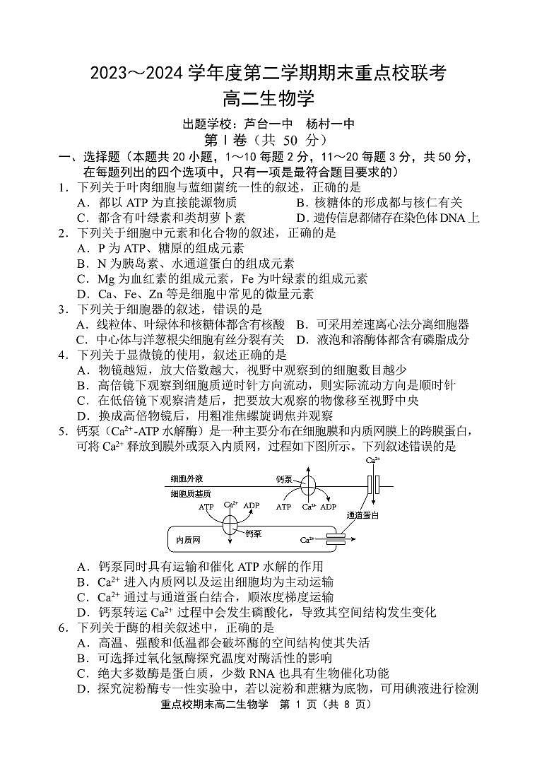 2024天津市五区县重点校联考高二下学期7月期末考试生物PDF版含答案01