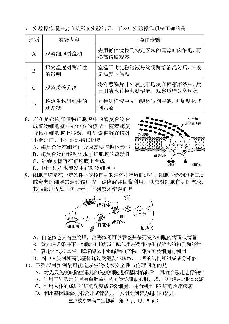2024天津市五区县重点校联考高二下学期7月期末考试生物PDF版含答案02
