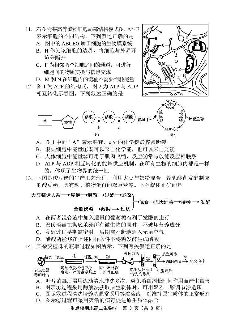 2024天津市五区县重点校联考高二下学期7月期末考试生物PDF版含答案03