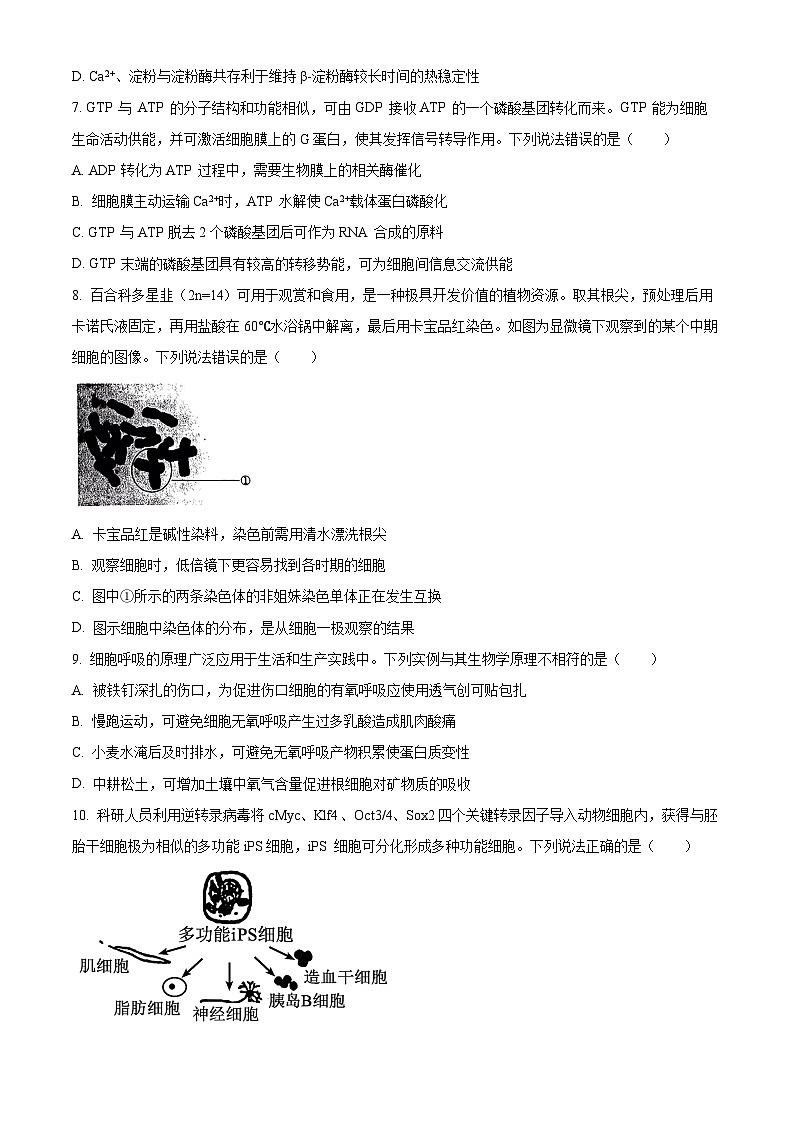 2024淄博高二下学期期末考试生物含解析03