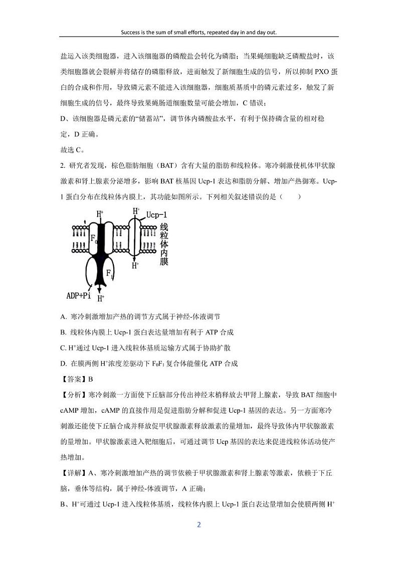 [生物]福建省三明市普通高中2023—2024学年高三下学期5月质量检测(解析版)第2页