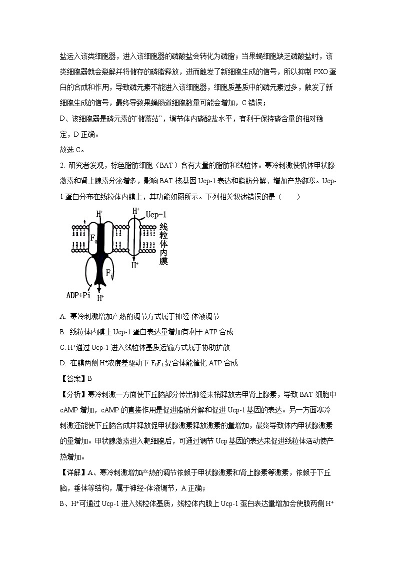 [生物]福建省三明市普通高中2023—2024学年高三下学期5月质量检测(解析版)第2页
