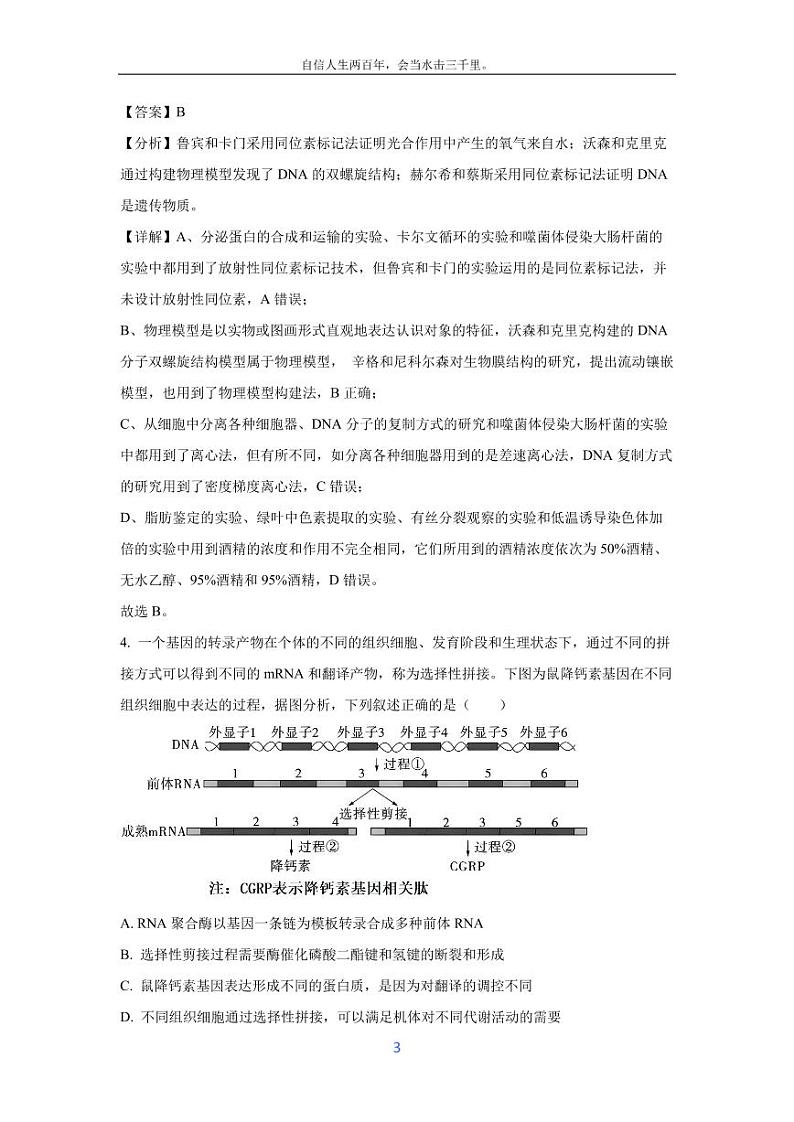 [生物]2024年邢台市高三下学期第二次模拟考试(解析版)第3页