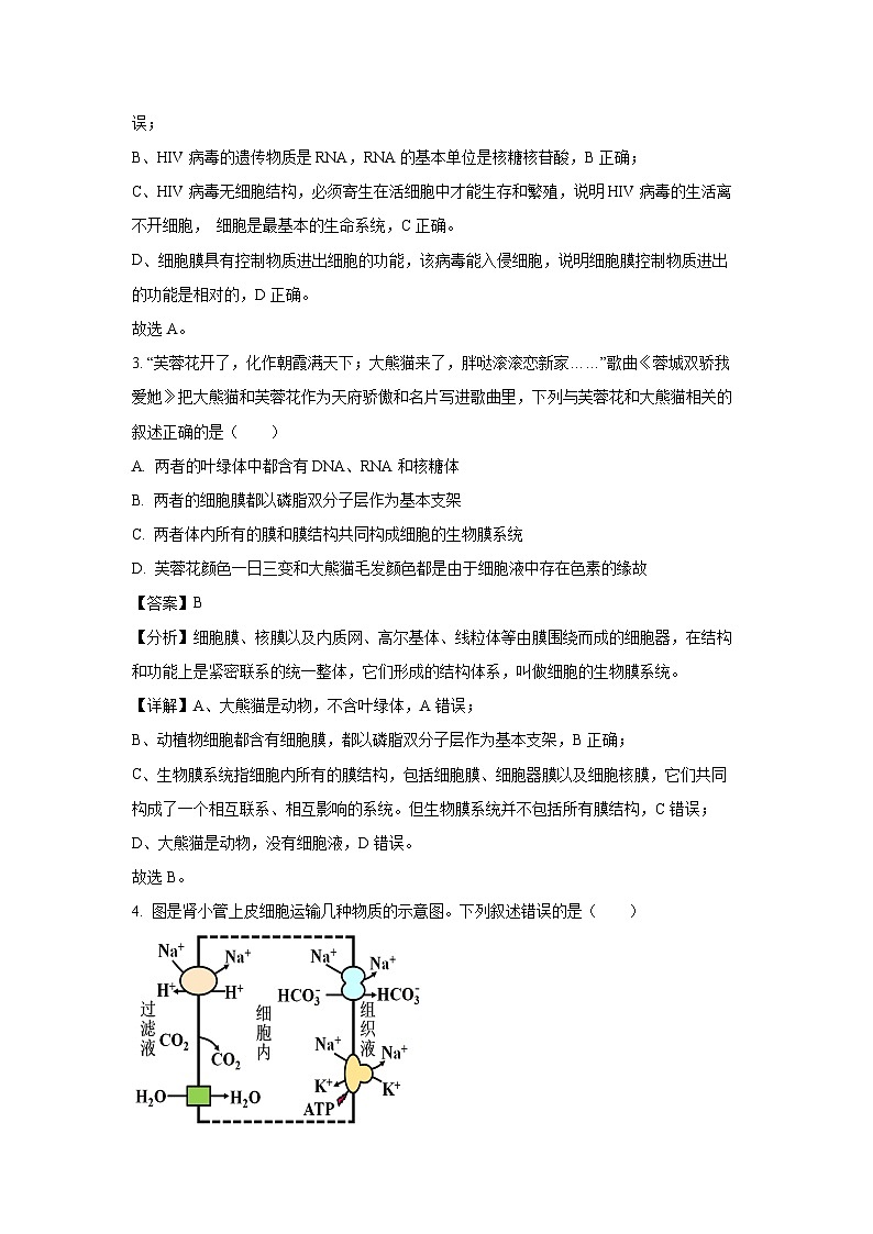 [生物][期末]四川省广安市2023-2024学年高二下学期期末考试试题(解析版)02