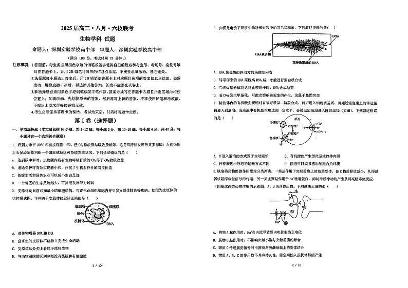 广东省六校2024—2025学年高三上学期8月联考生物试题01