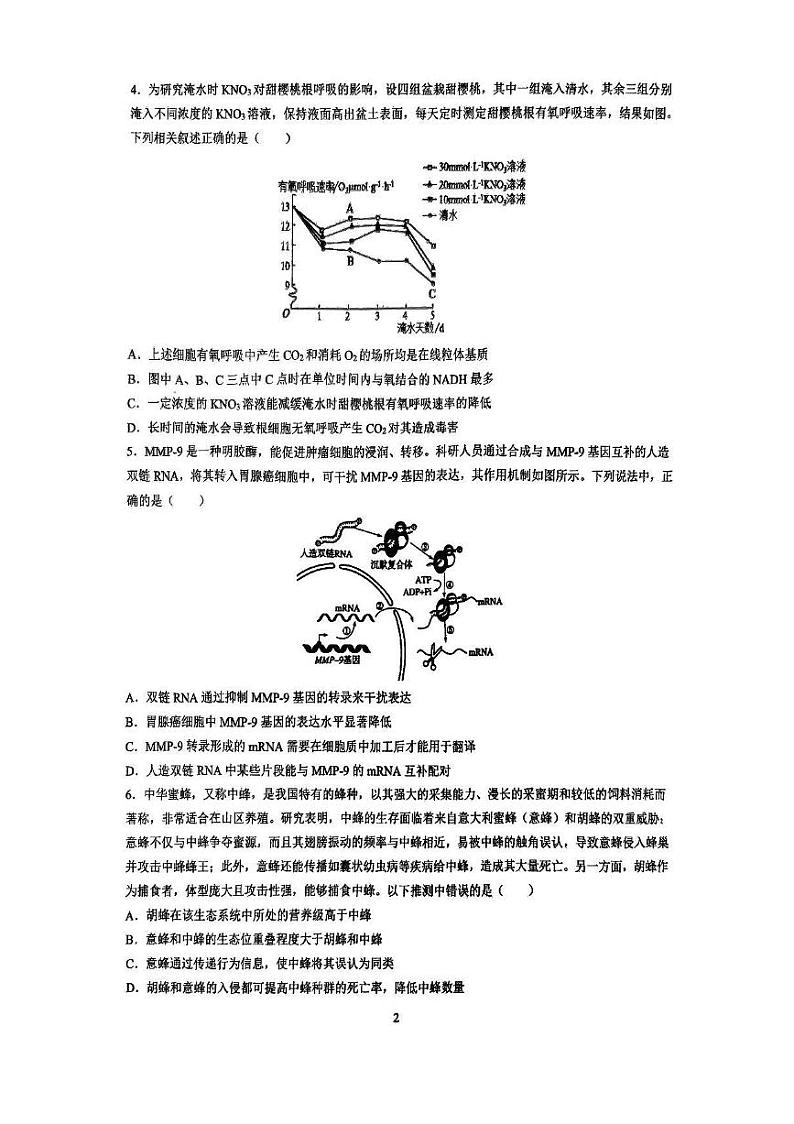 生物丨湖南省长沙市雅礼中学2025届高三8月入学考试生物试卷及答案第2页