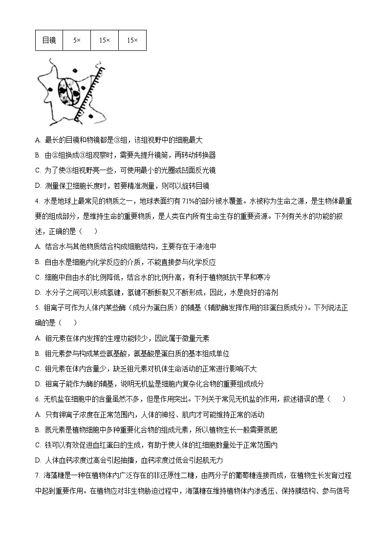 河南省顶尖联盟2023-2024学年高一上学期期中检测生物试卷（原卷版）第2页