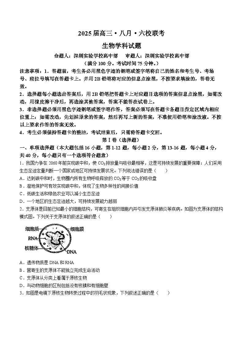 广东省六校2024—2025学年高三上学期8月联考生物试题(无答案)01