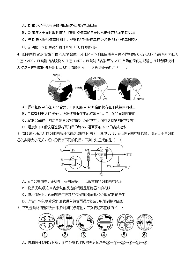 生物-2025届新高三开学摸底考试卷（新高考通用，单选版）0102