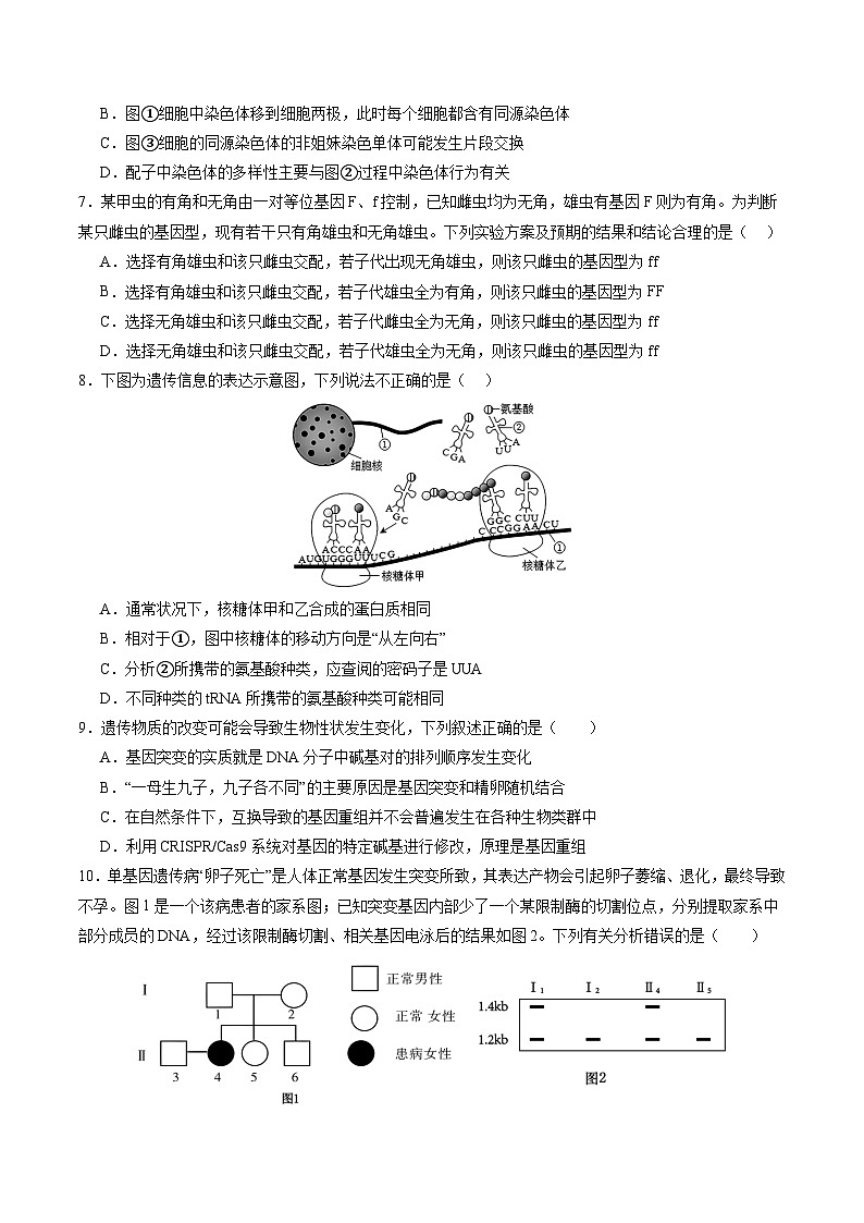 生物-2025届新高三开学摸底考试卷（新高考通用，单选版）0103