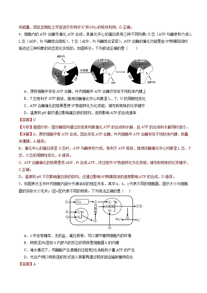 生物-2025届新高三开学摸底考试卷（新高考通用，单选版）0103