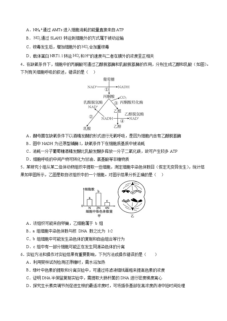 生物-2025届新高三开学摸底考试卷（新高考通用，含不定项）0202