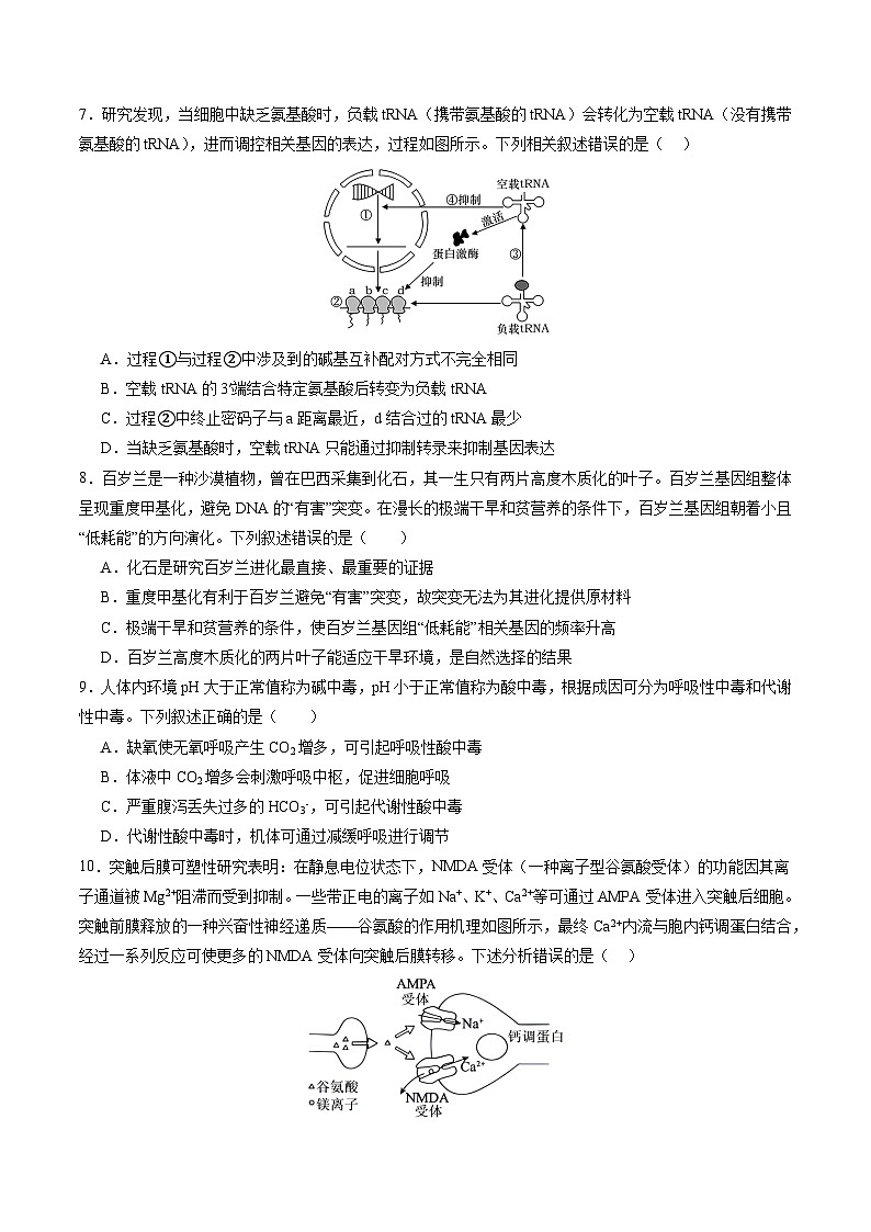 生物-2025届新高三开学摸底考试卷（新高考通用，含不定项）0203