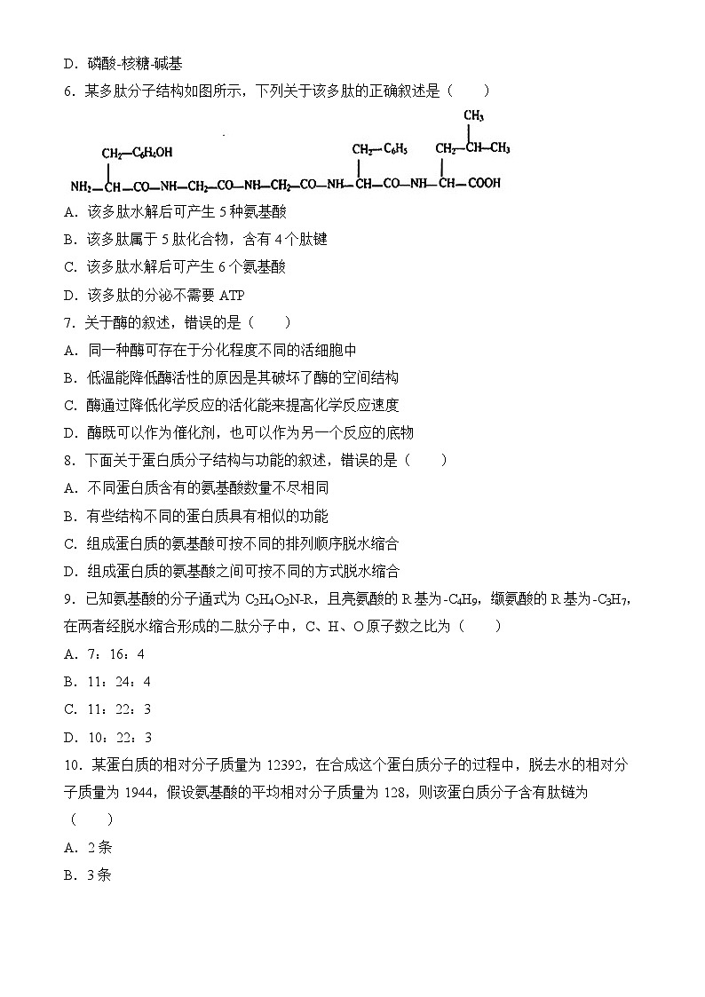 北京市汇文中学2023-2024学年高一下学期期末生物（选考）试题第2页