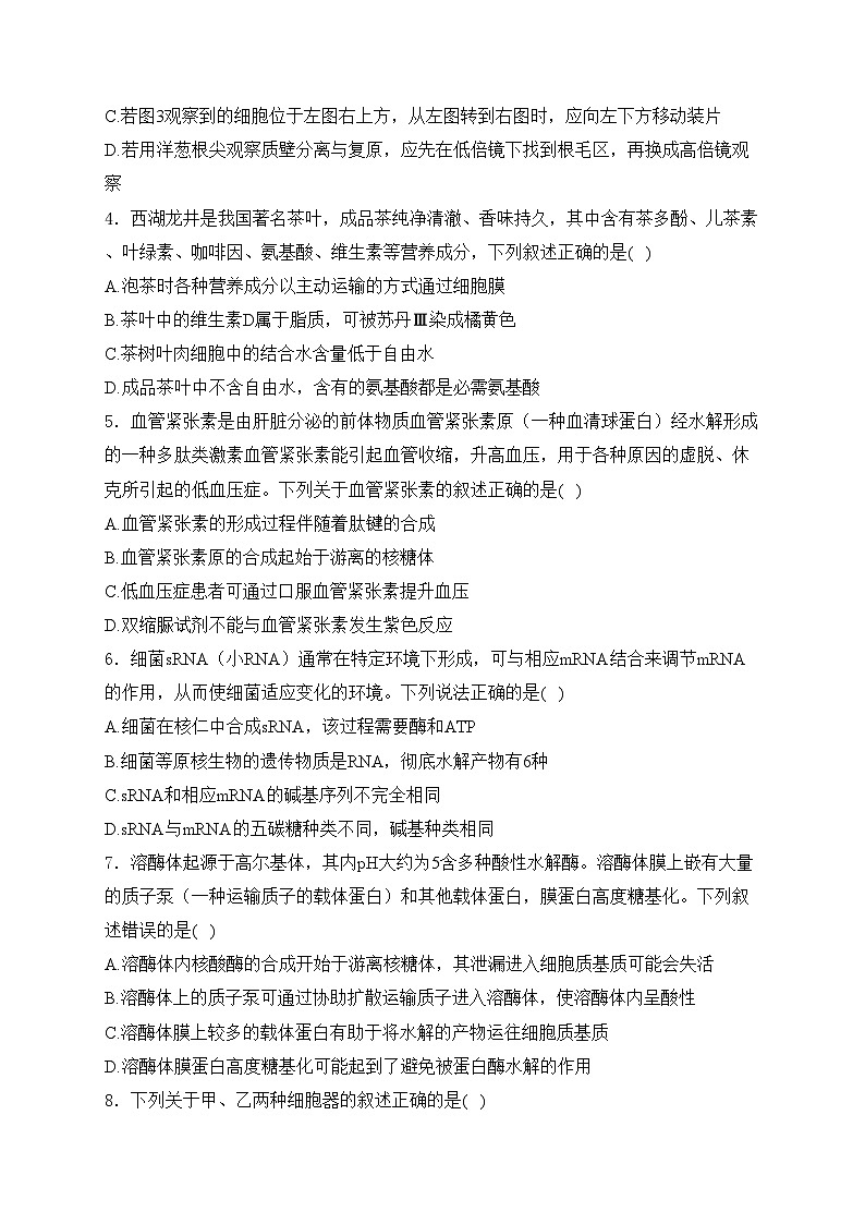 甘肃省民乐县第一中学2024届高三上学期第一次诊断考试生物试卷(含答案)02