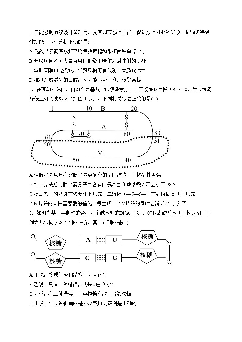 哈尔滨市第九中学校2023-2024学年高二下学期7月期末考试生物试卷(含答案)02