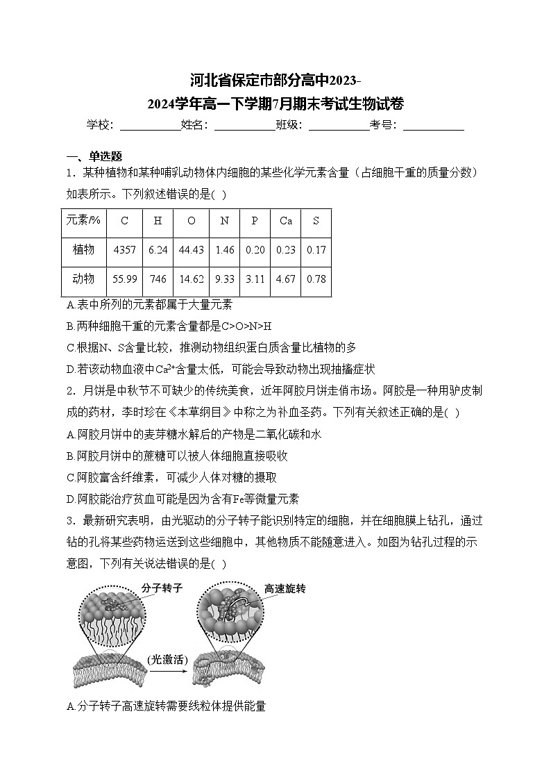 河北省保定市部分高中2023-2024学年高一下学期7月期末考试生物试卷(含答案)01