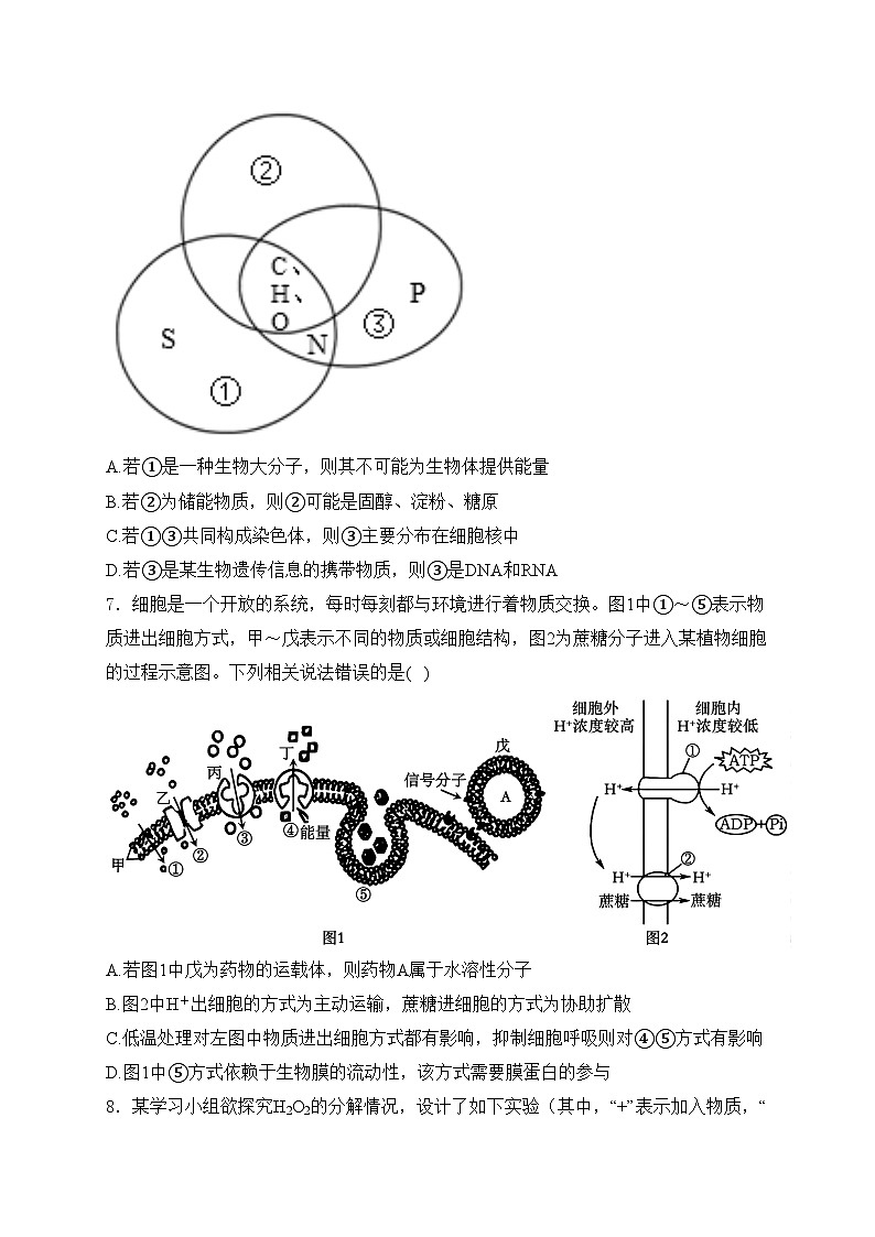 河北省保定市部分高中2023-2024学年高一下学期7月期末考试生物试卷(含答案)03