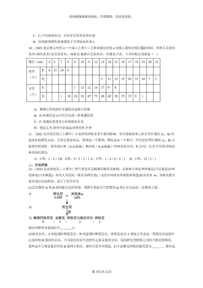 [生物]2021～2023北京重点校高三上学期期中生物真题分类汇编：孟德尔的豌豆杂交实验(二)第3页