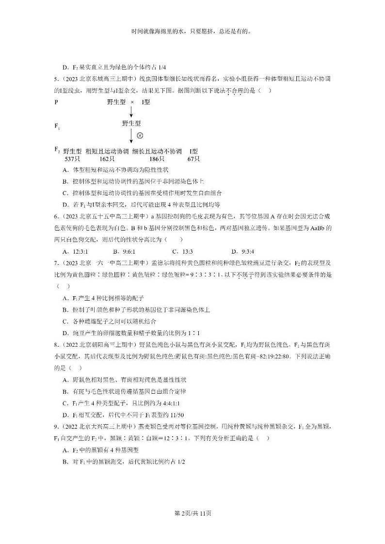 [生物]2021～2023北京重点校高三上学期期中生物真题分类汇编：孟德尔的豌豆杂交实验(二)第2页