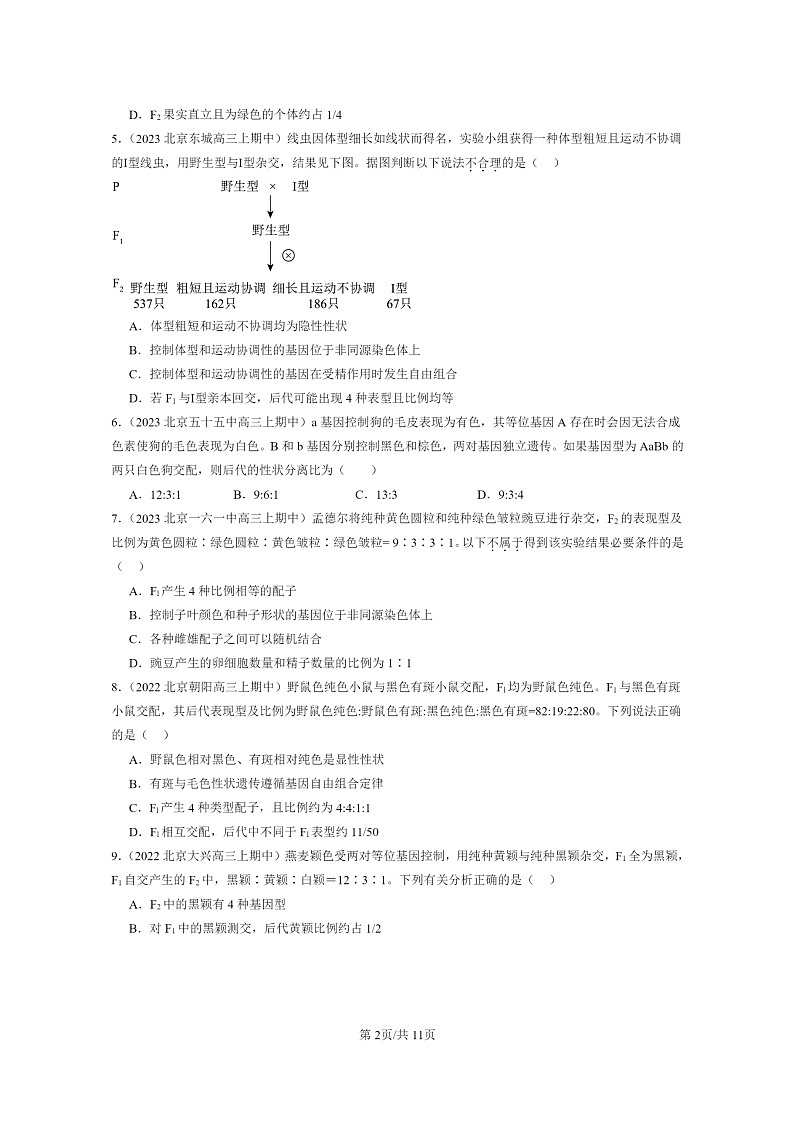 [生物]2021～2023北京重点校高三上学期期中生物真题分类汇编：孟德尔的豌豆杂交实验(二)第2页