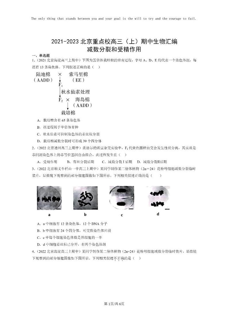 [生物]2021～2023北京重点校高三上学期期中生物真题分类汇编：减数分裂和受精作用第1页