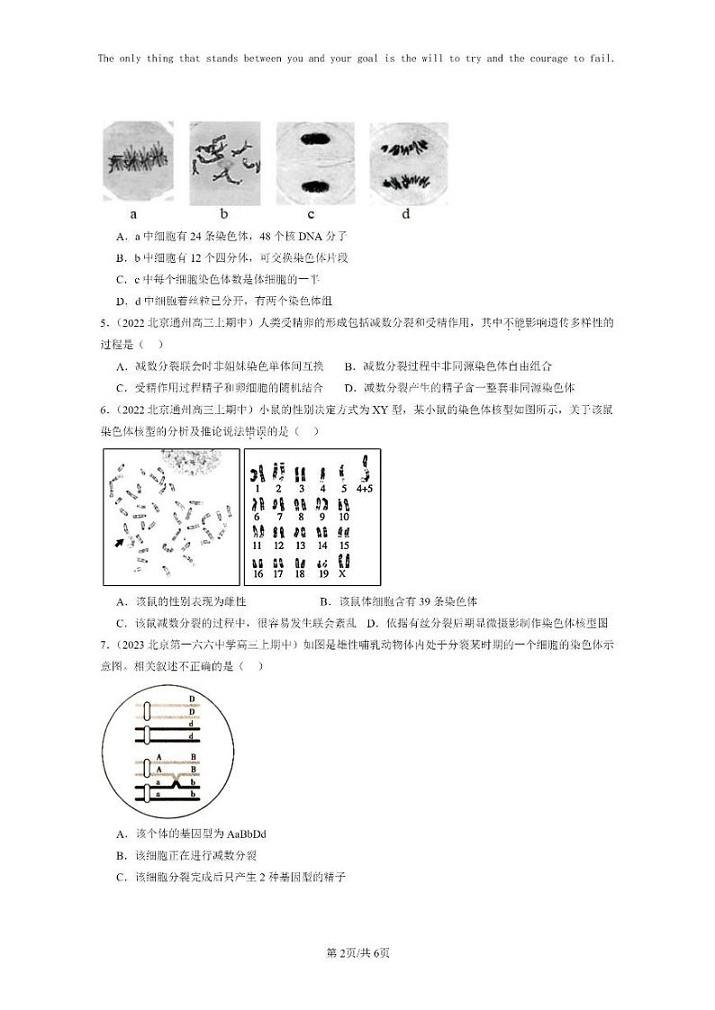 [生物]2021～2023北京重点校高三上学期期中生物真题分类汇编：减数分裂和受精作用第2页