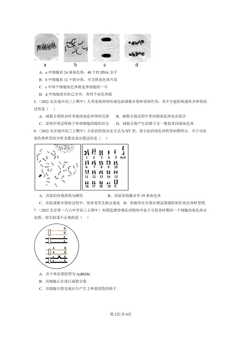 [生物]2021～2023北京重点校高三上学期期中生物真题分类汇编：减数分裂和受精作用第2页
