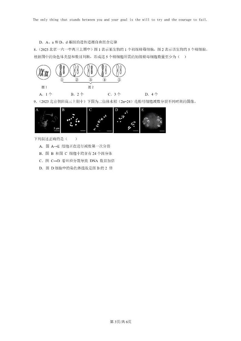 [生物]2021～2023北京重点校高三上学期期中生物真题分类汇编：减数分裂和受精作用第3页