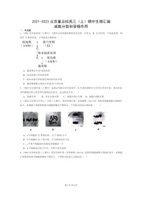 [生物]2021～2023北京重点校高三上学期期中生物真题分类汇编：减数分裂和受精作用