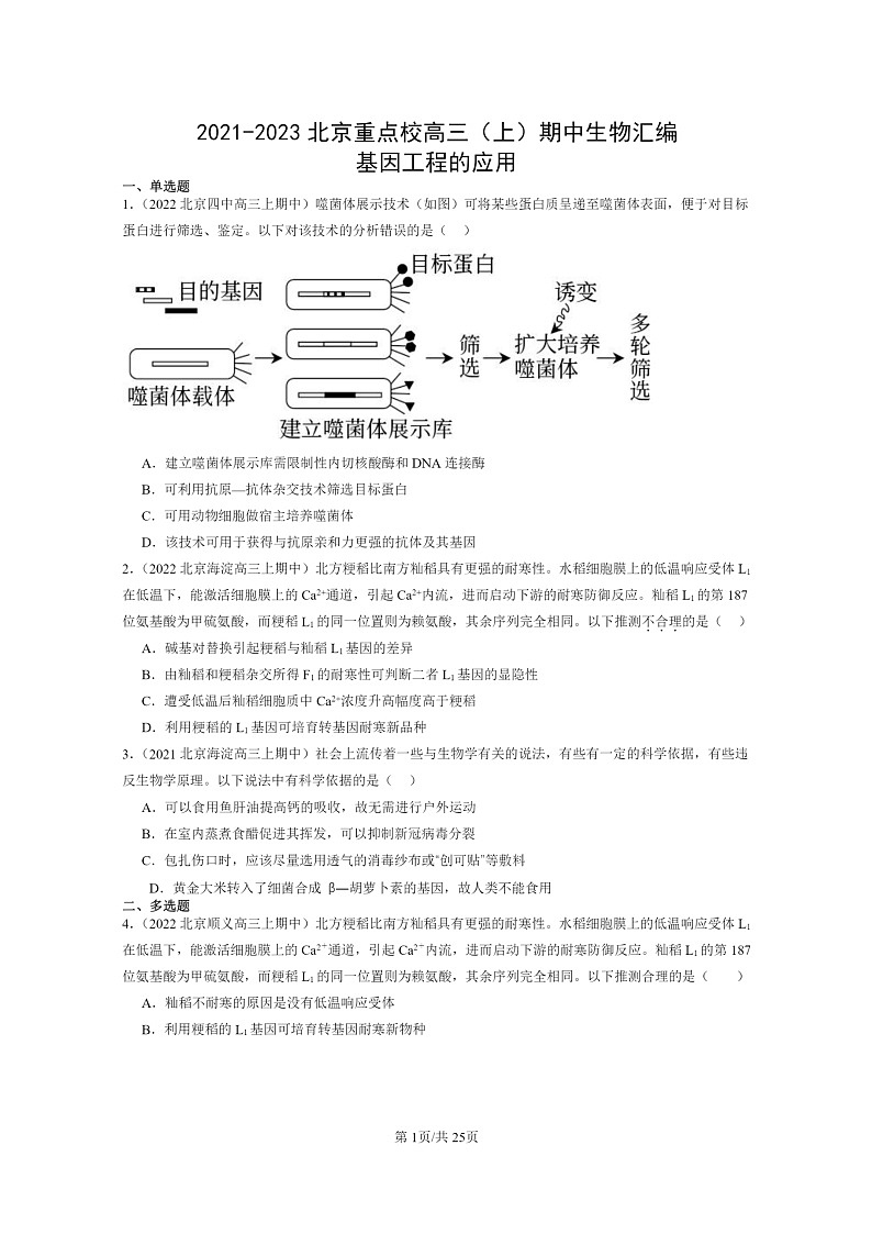 [生物]2021～2023北京重点校高三上学期期中生物真题分类汇编：基因工程的应用01