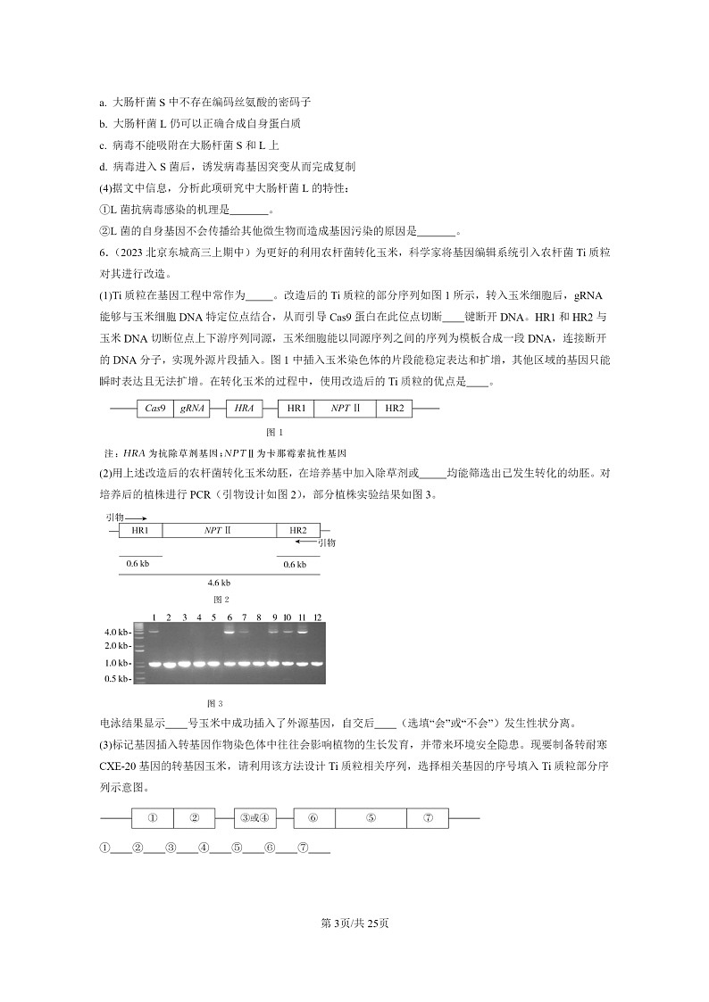 [生物]2021～2023北京重点校高三上学期期中生物真题分类汇编：基因工程的应用03