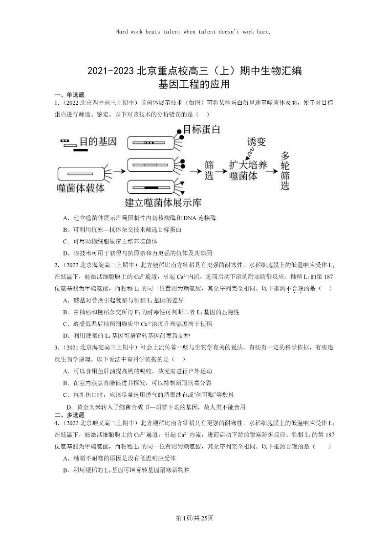 [生物]2021～2023北京重点校高三上学期期中生物真题分类汇编：基因工程的应用01
