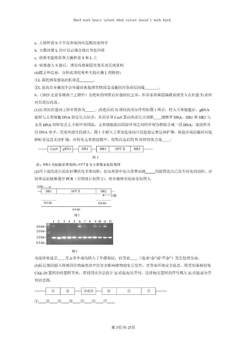 [生物]2021～2023北京重点校高三上学期期中生物真题分类汇编：基因工程的应用03