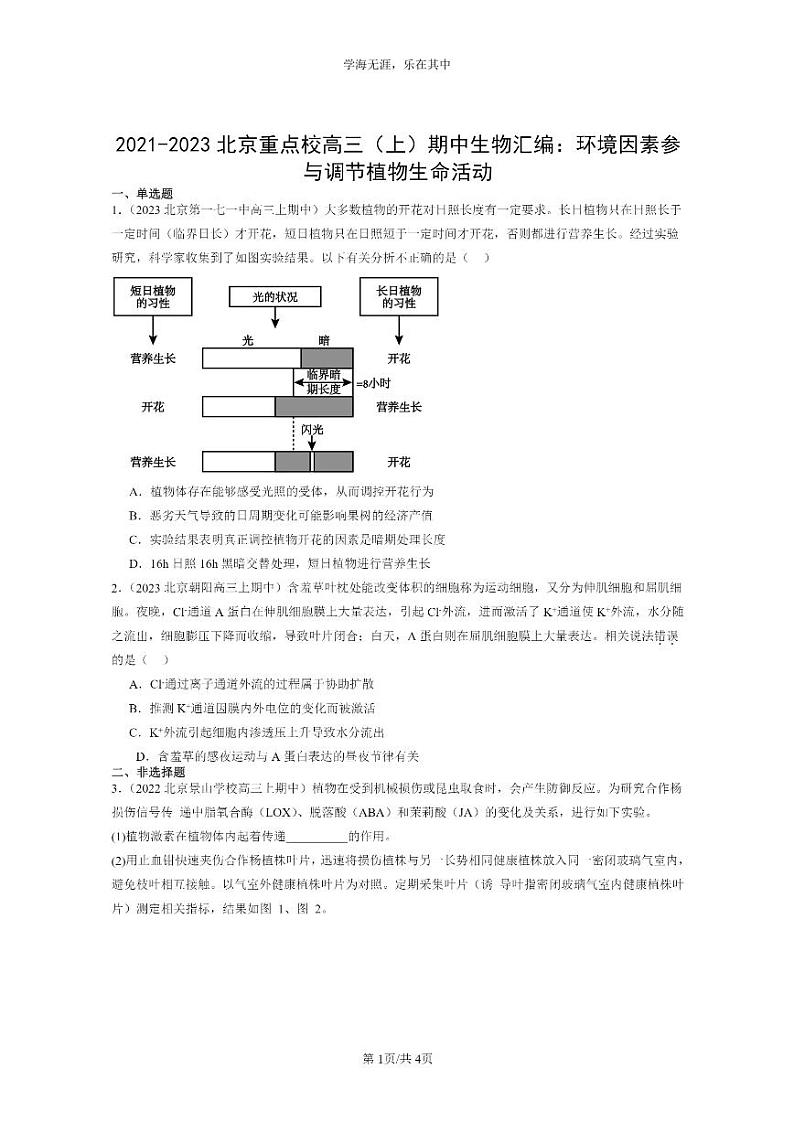 [生物]2021～2023北京重点校高三上学期期中生物真题分类汇编：环境因素参与调节植物生命活动第1页