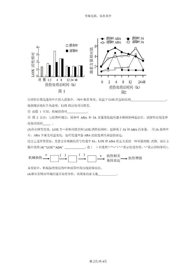 [生物]2021～2023北京重点校高三上学期期中生物真题分类汇编：环境因素参与调节植物生命活动第2页