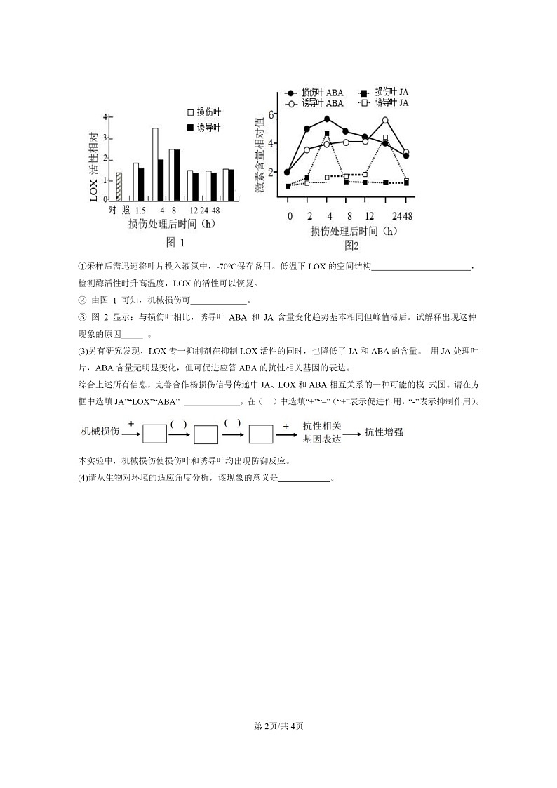 [生物]2021～2023北京重点校高三上学期期中生物真题分类汇编：环境因素参与调节植物生命活动第2页