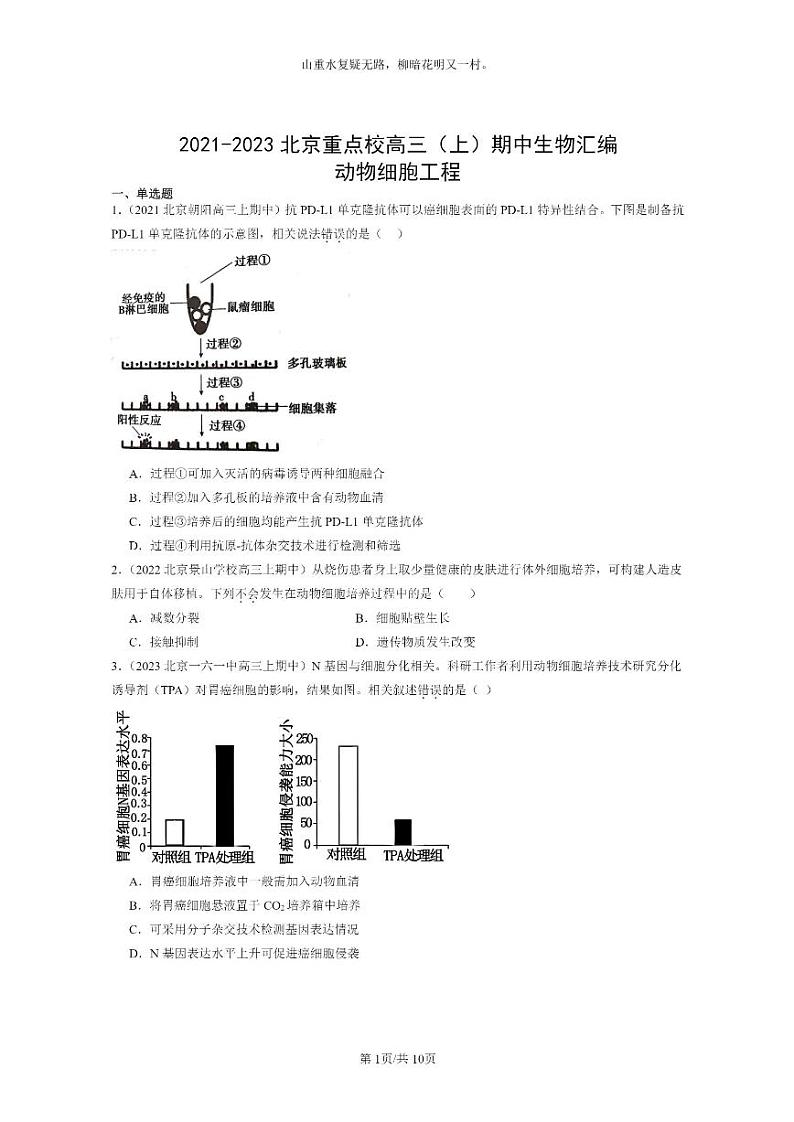 [生物]2021～2023北京重点校高三上学期期中生物真题分类汇编：动物细胞工程01