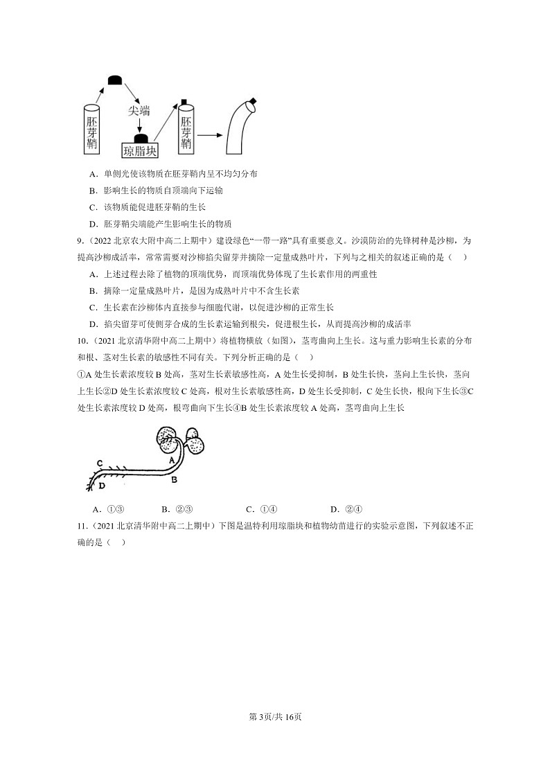 [生物]2021～2023北京重点校高二上学期期中生物真题分类汇编：植物生长素第3页