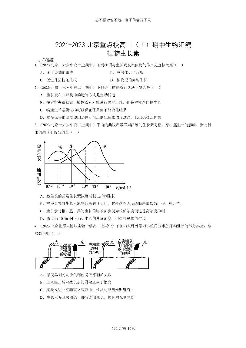 [生物]2021～2023北京重点校高二上学期期中生物真题分类汇编：植物生长素第1页